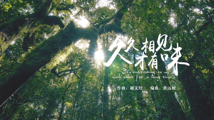 MV | 轻音乐《久久相见才有味》（歌曲久久相见才有味）