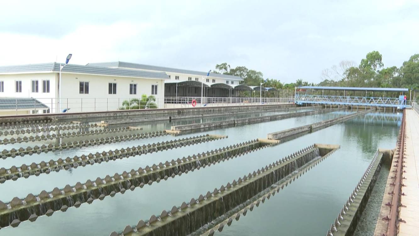 关注六水共治丨万宁稳步有序推进污水治理 探索尾水资源化利用（万宁污水处理厂）