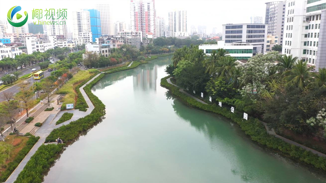 瞰海南 | 海口水系系列：航拍鸭尾溪  昔日“臭水沟”蜕变美丽河（海口市鸭尾溪）