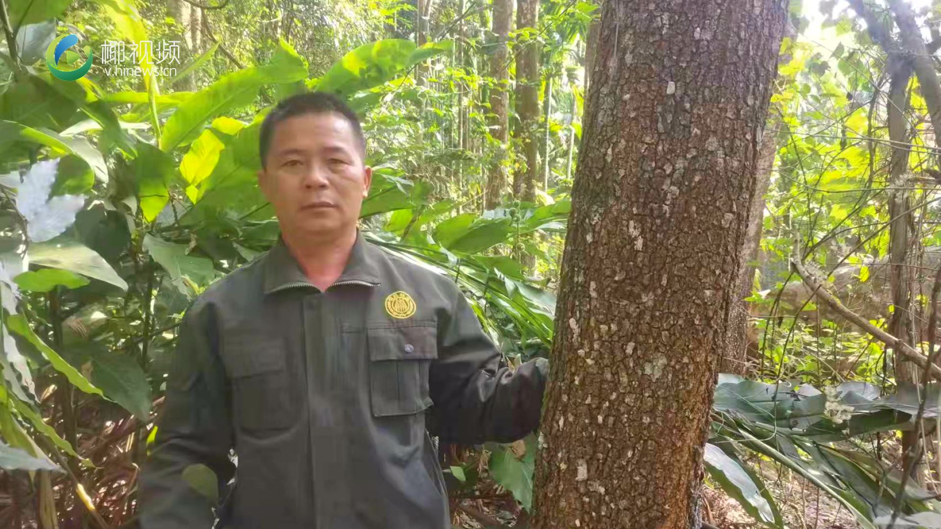 “在最美自贸港 寻找最美护林员”之二十 | 屯昌护林员王首群：守好青山绿水就是造福子孙后代