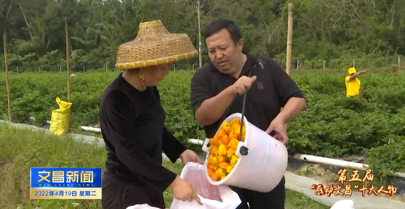 文昌青山村党支部书记郑在潭：甘当“发光体” 照亮村民致富路