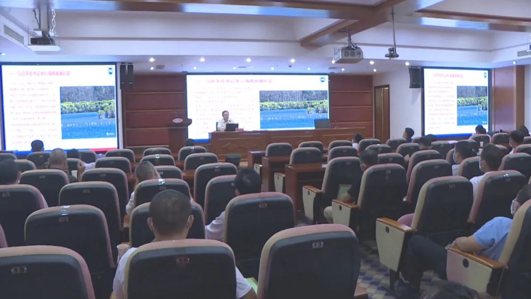 保亭：强化党员干部学习培训 夯实理论根基提升工作效能（加强党员干部培训）