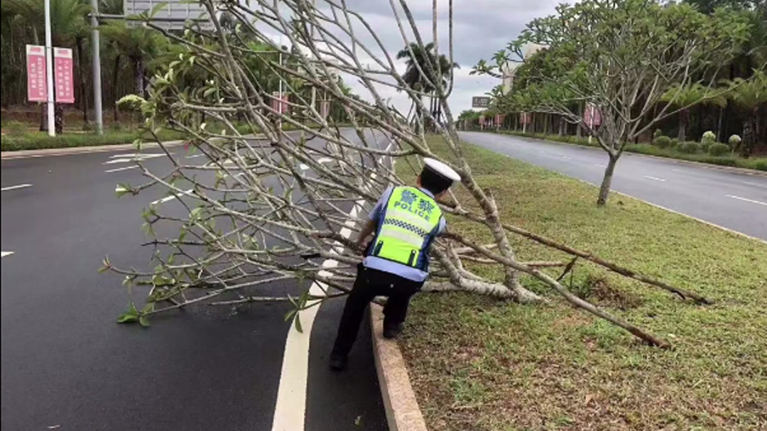 受台风“暹芭”影响，儋州部分路段有树木倒下，公安民警及时出动清理