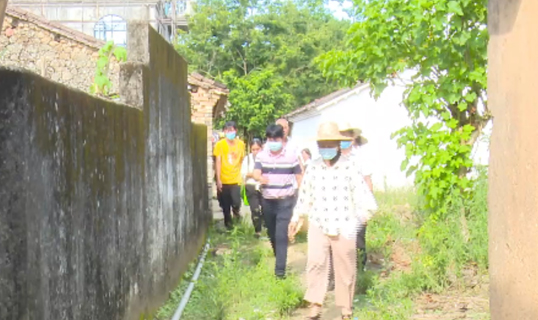 琼中黎族苗族自治县县长蒋莉萍到黎母山镇实地检查指导乡村振兴大比拼工作