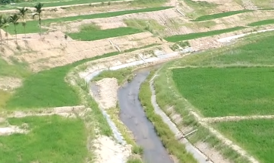 优化耕地结构 提升耕地质量数量 琼中启动土地整治项目（海南 耕地）