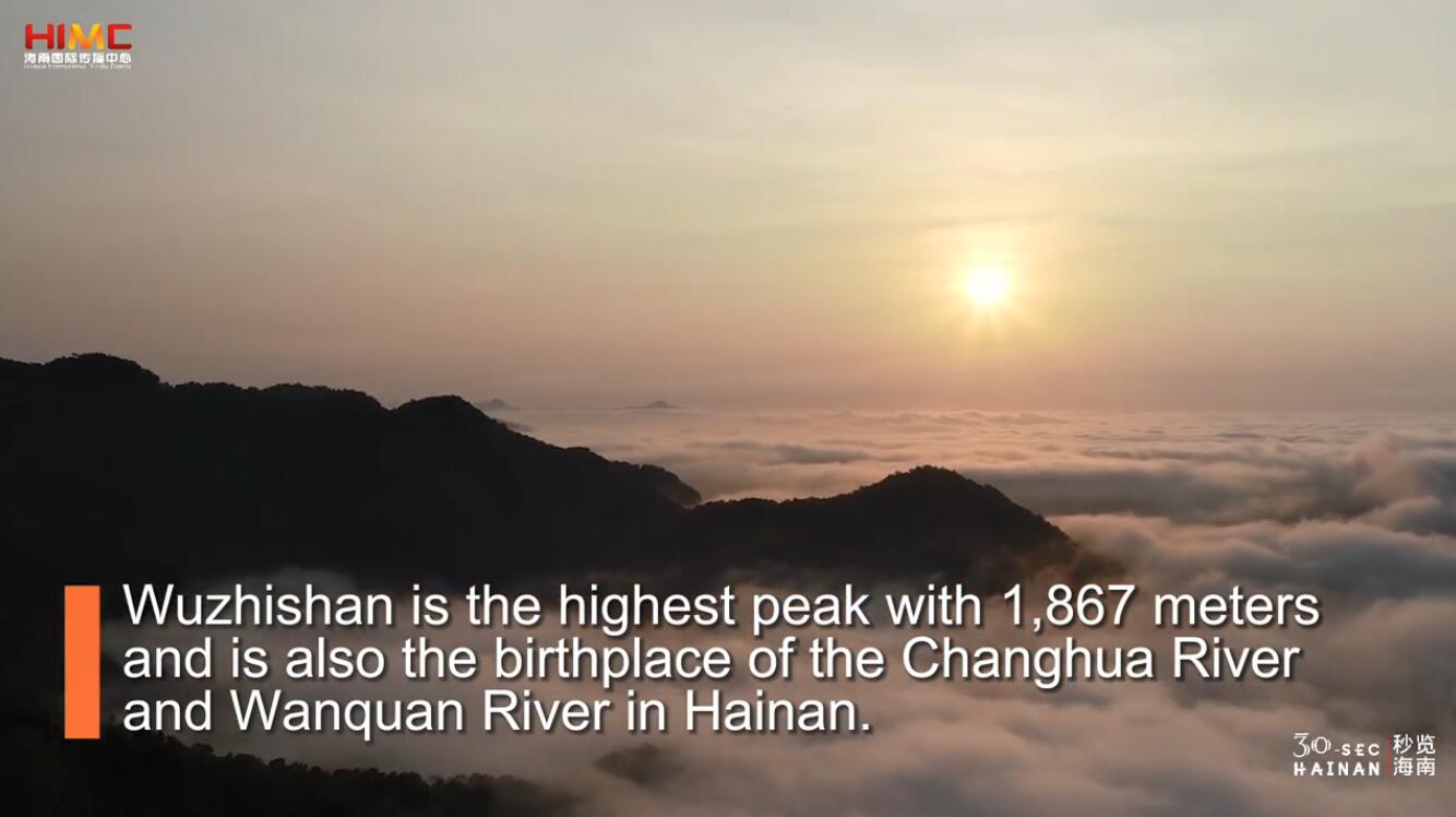 海南这十年·100集《秒览海南》 | 第24集：五指山：海南之巅 雨林精华