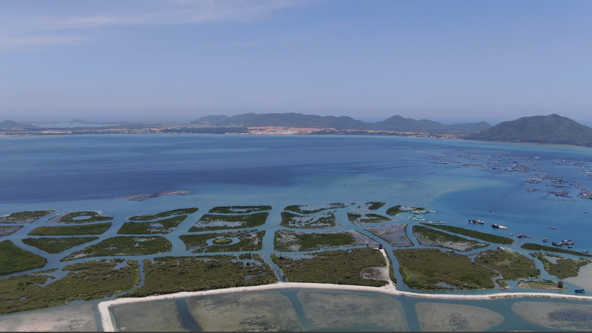 海南这十年·100集《秒览海南》 | 第31集：打卡“海上绿洲”——海南陵水红树林国家湿地公园