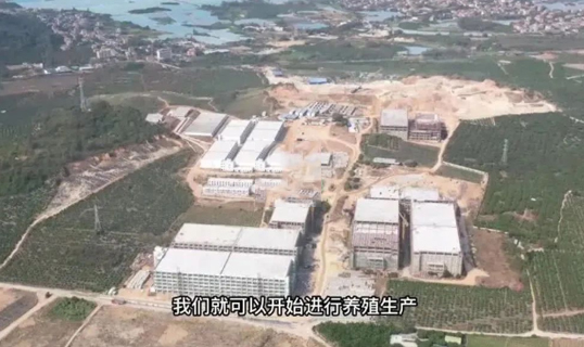 乐东重点项目加速复工复产 全力冲刺“开门红”（乐东即将开工的项目）