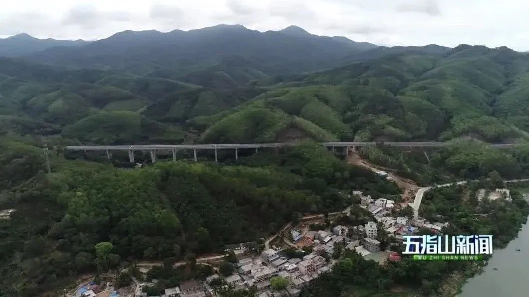 五指山市毛道乡：优化蜂蜜产业链 “村企”升级助力乡村振兴（五指山毛道乡生态搬迁）