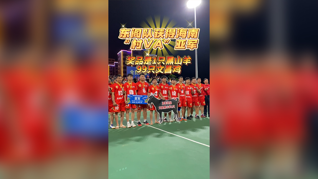 视频 | 海南“村VA”总决赛东阁队获得亚军，奖品是1只黑山羊99只文昌鸡