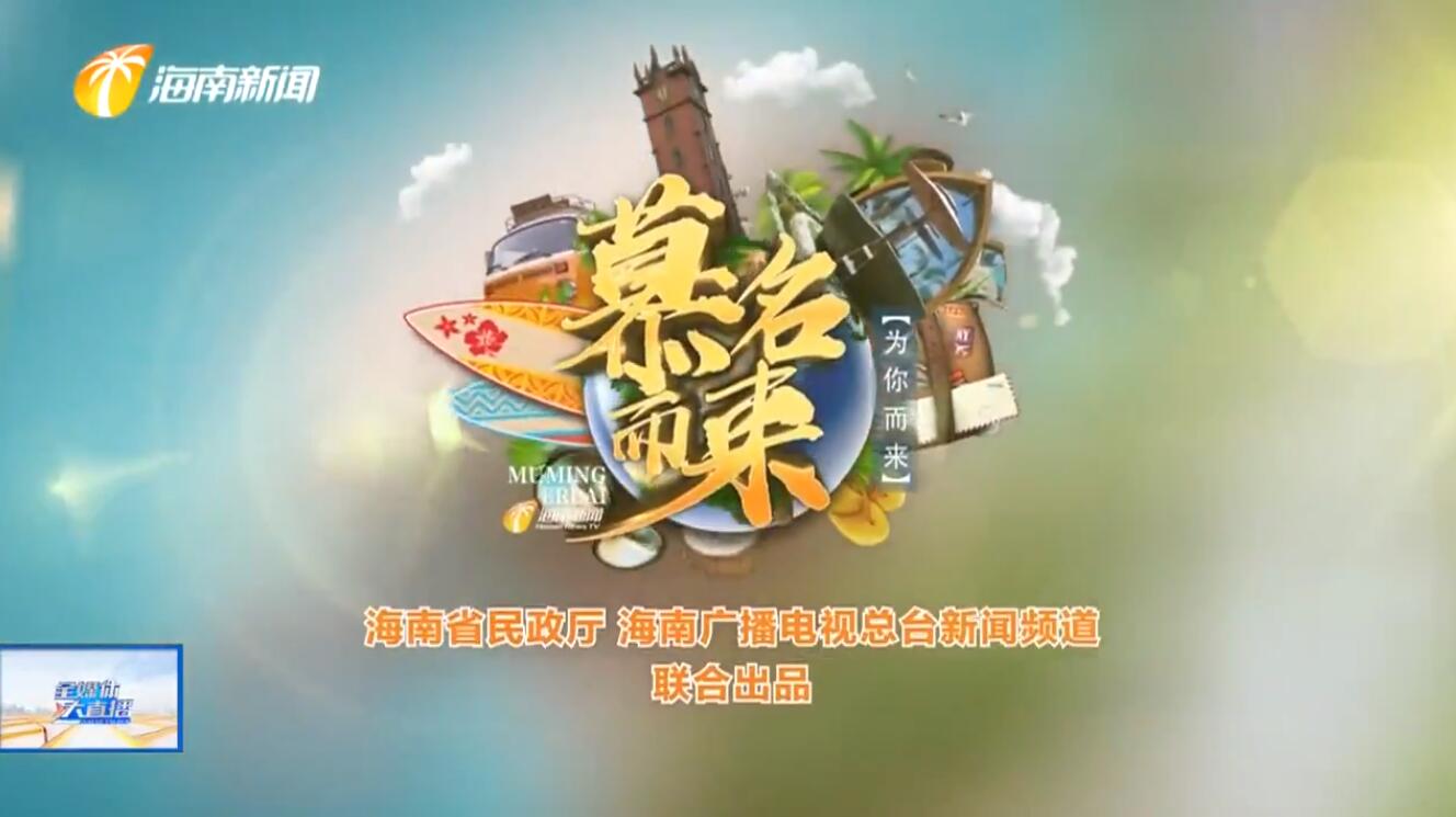 自然与历史交融的地方——乐东抱由镇（海南乐东抱由镇怎么样）