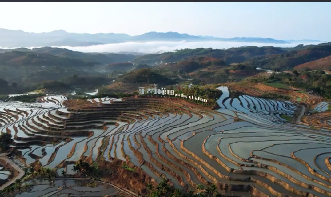 牙胡梯田概况图片