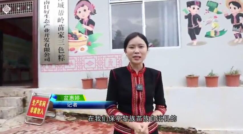 保亭：粽香飘产业旺 “三色粽”托起多彩乡村振兴梦（三色粽子的做法）