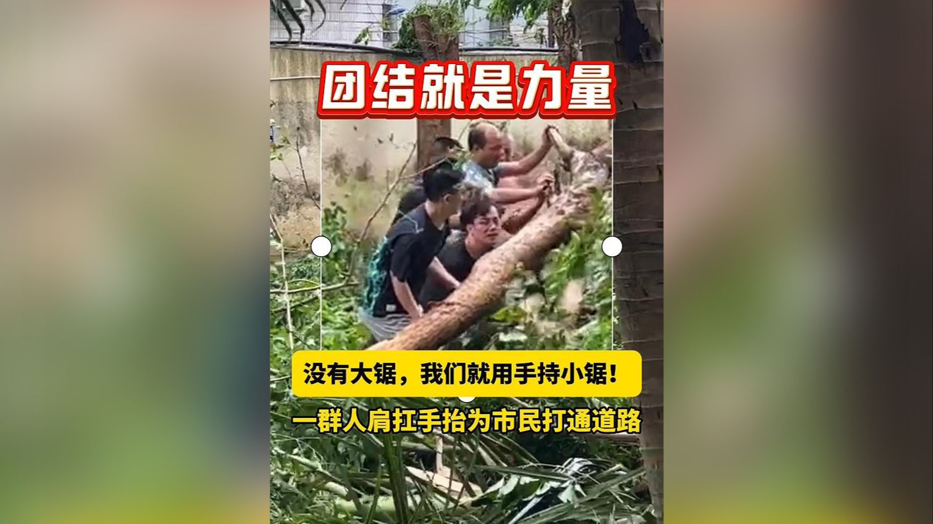 视频 | 台风“摩羯”过境后 海口市民互助自救显温情（台风“摩羯”）