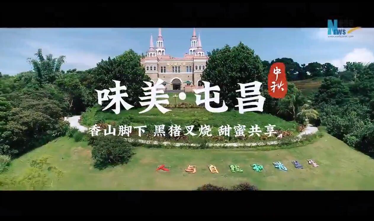 屯昌黑猪肉叉烧月饼创新味蕾体验（屯昌黑猪肉叉烧月饼创新味蕾体验店电话）