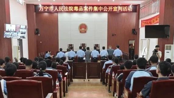 椰視頻 | 萬寧集中宣判三起毒品案件 涉及毒品均為新型毒品
