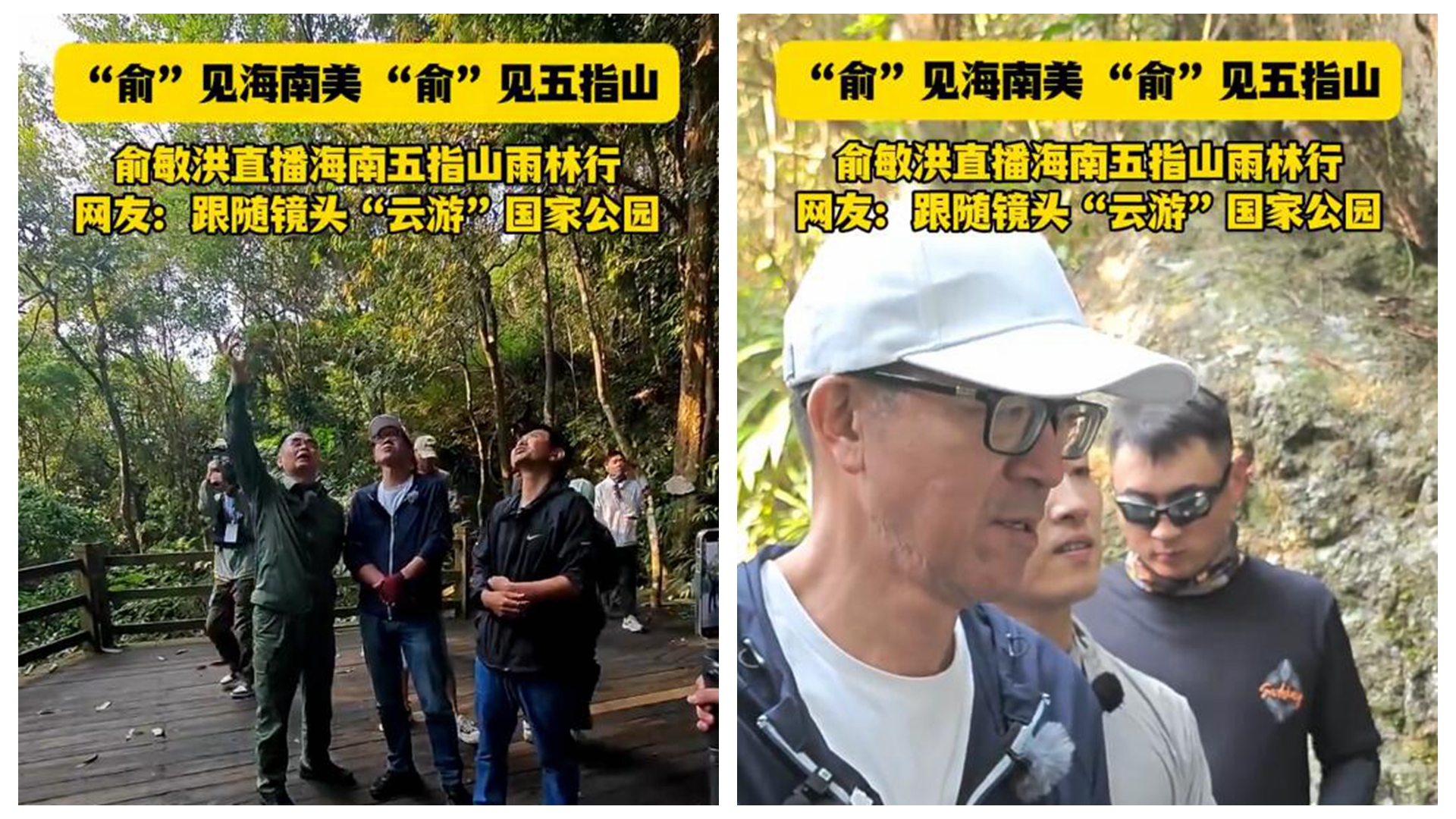 视频 | 俞敏洪直播海南五指山雨林行 网友：跟随镜头“云游”国家公园