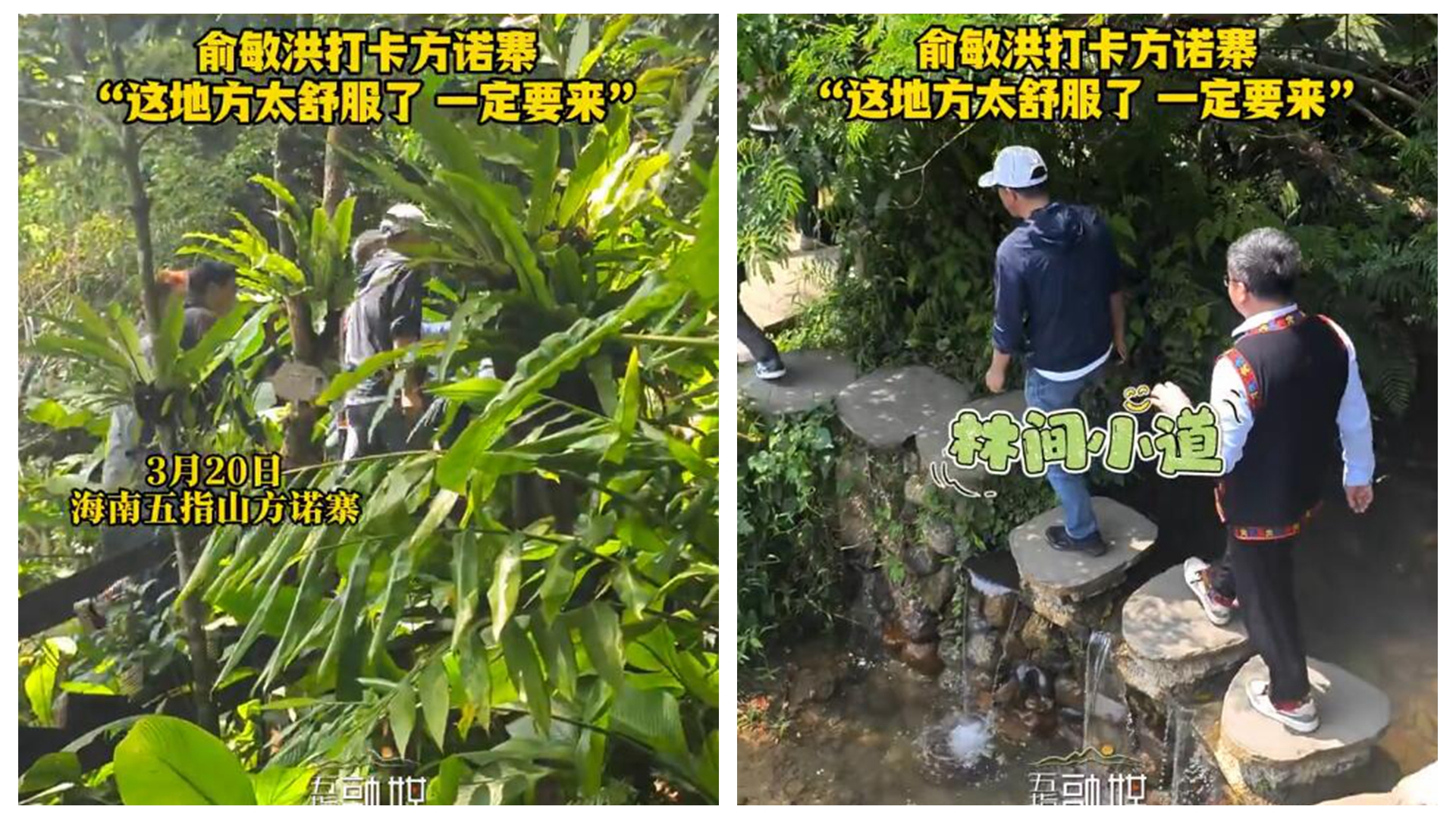 视频 | 俞敏洪打卡五指山方诺寨：这地方太舒服了 一定要来