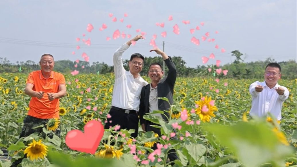 为家乡打Call，定安县、镇领导干部“C位出道”（定安县乡镇拟任干部人选公告）