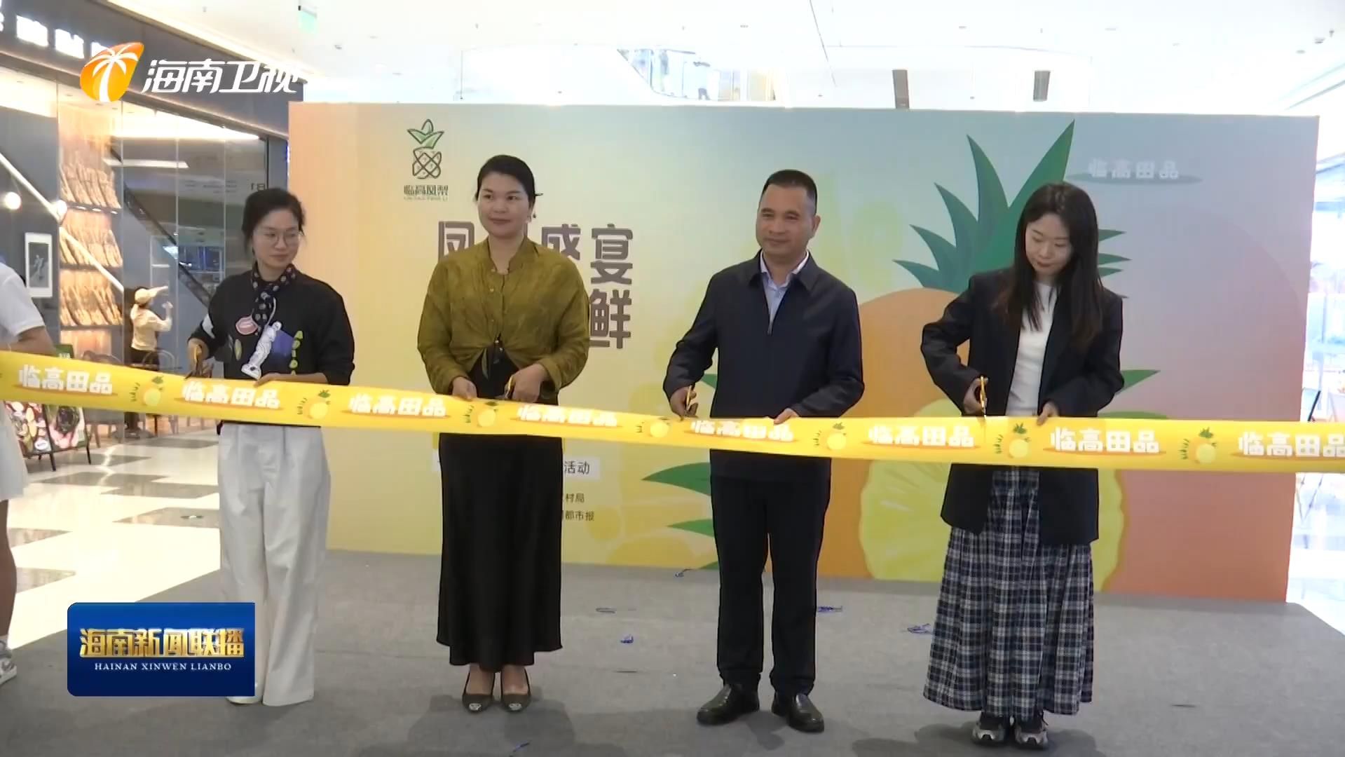 “临高田品”凤梨海口快闪出圈 互动品鉴+全链升级擦亮品牌（临高凤梨基地）