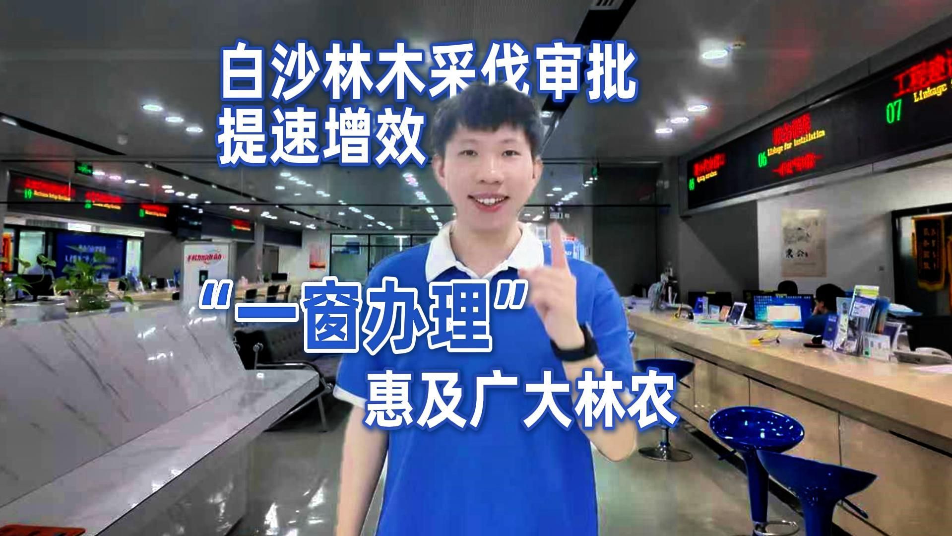 椰视频 | 白沙林木采伐审批提速增效“一窗办理”惠及广大林农